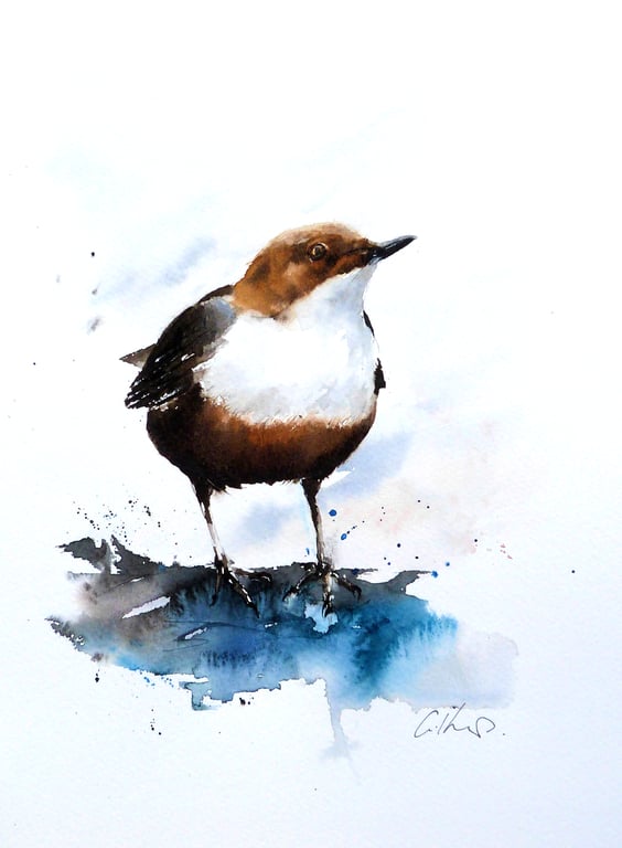 Dipper, Professional Giclée Print.