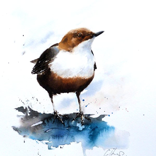 Dipper, Professional Giclée Print.