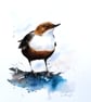 Dipper, Professional Giclée Print. - Image 1