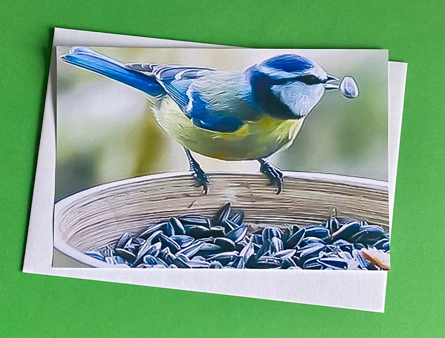 Blue Tit Tossing Seeds - Photographic Print Greetings Card