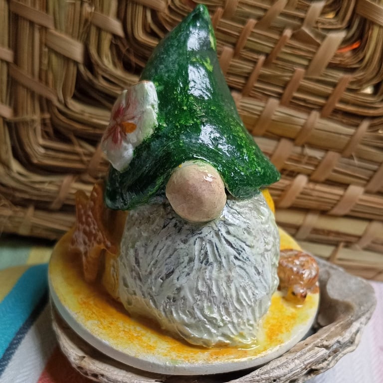 'Toby and the turtle' gnome