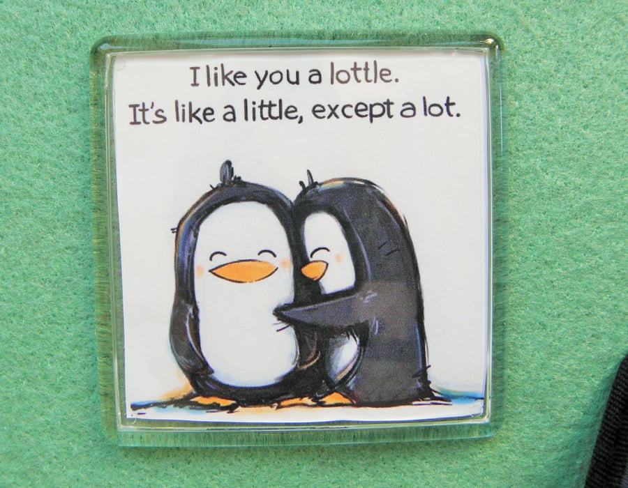  I Like You A Lottle Fridge Magnet