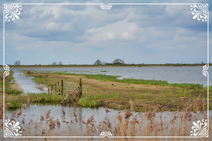 Welney Wetland Norfolk  A5 Greeting Card 