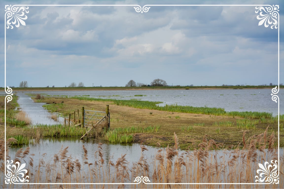 Welney Wetland Norfolk  A5 Greeting Card 