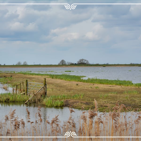 Welney Wetland Norfolk  A5 Greeting Card 