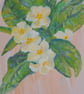 Wild Primrose Acrylic Painting - Image 2