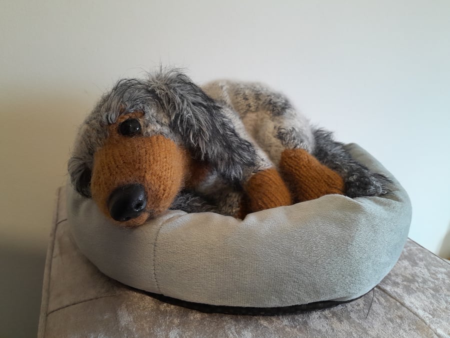 Dachshund Puppy, Dotpebblesknits Design
