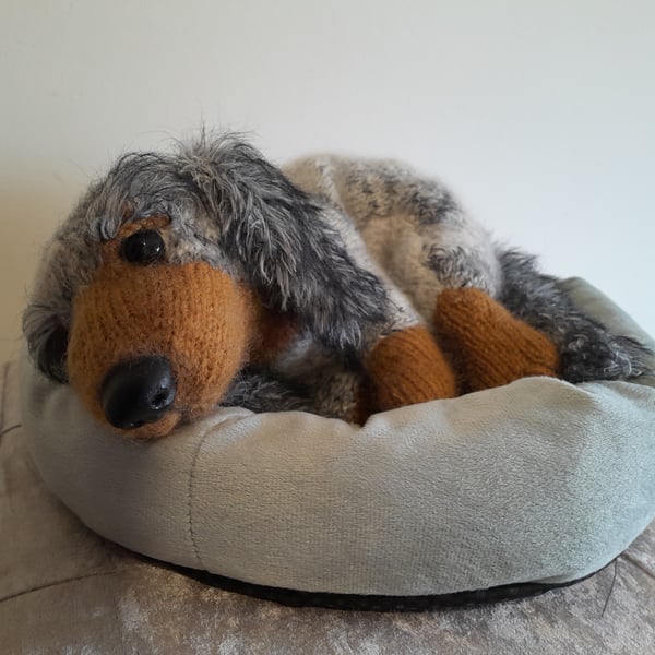 Dachshund Puppy, Dotpebblesknits Design