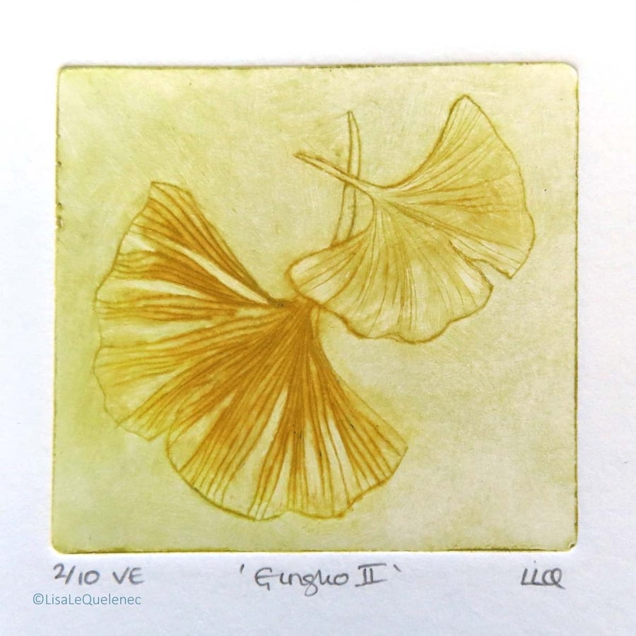 Gingko II drypoint no.2 of 10 signs of spring small scale print