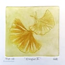 Gingko II drypoint no.2 of 10 signs of spring small scale print