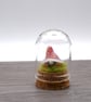 small glass gnome keepsake