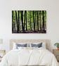 Blackwood Forest Winchester Hampshire Photograph Print - Image 5