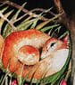 Whimsical Resting Foxes Watercolour  - Image 3