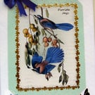 Jay Bird - Hand Crafted Decoupage Card - Blank for any Occasion (2445)