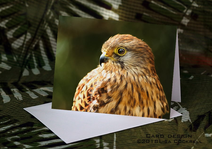 Exclusive Handmade Kestrel Greetings Card on Archive Photo Paper