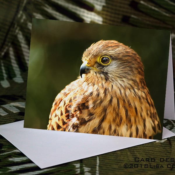 Exclusive Handmade Kestrel Greetings Card on Archive Photo Paper