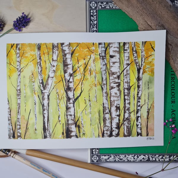 Autumnal silver birch trees art, Original watercolour art