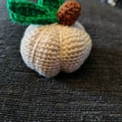 Autumn Pumpkin 