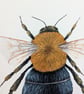 Tree Bumblebee Painting  - Image 2