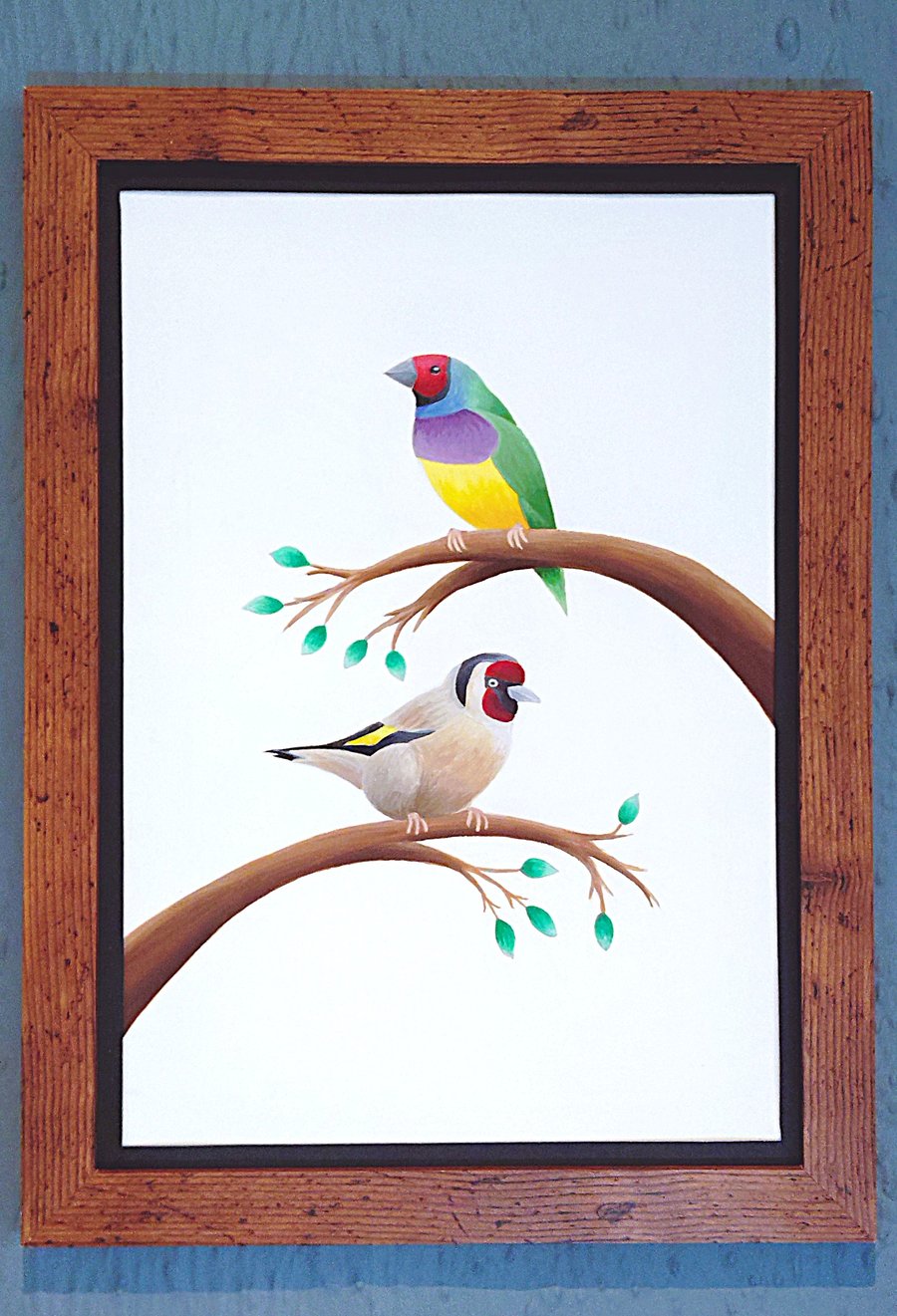 Made in UK Framed A3 Print Colourful Gouldian GoldFinch Black Border Wallart