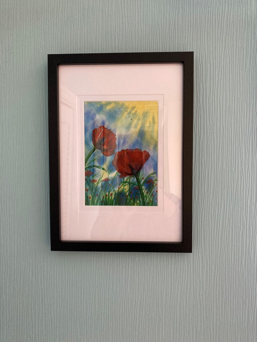 Original watercolour painting of poppies