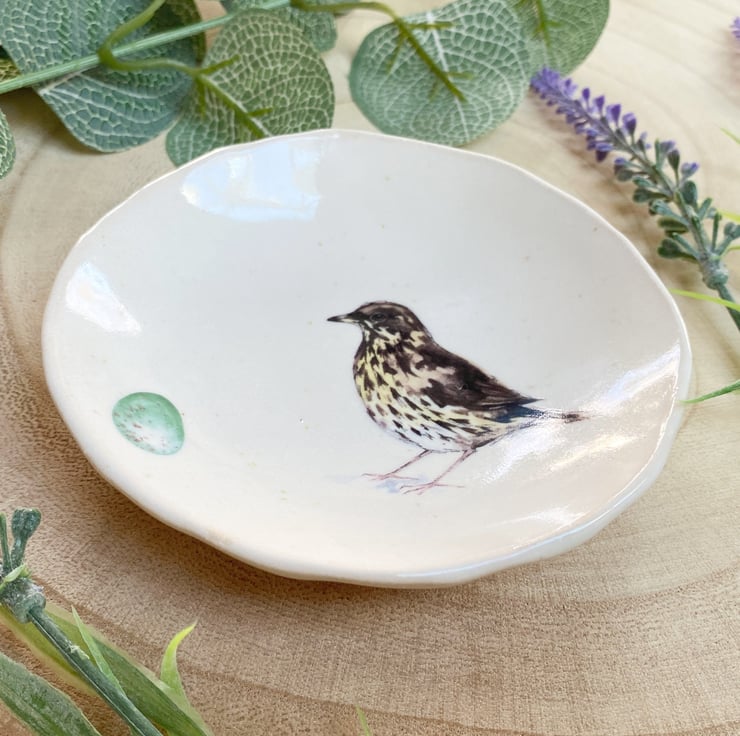 Thrush Handmade Ceramic Dish, Garden Bird Dish - Folksy