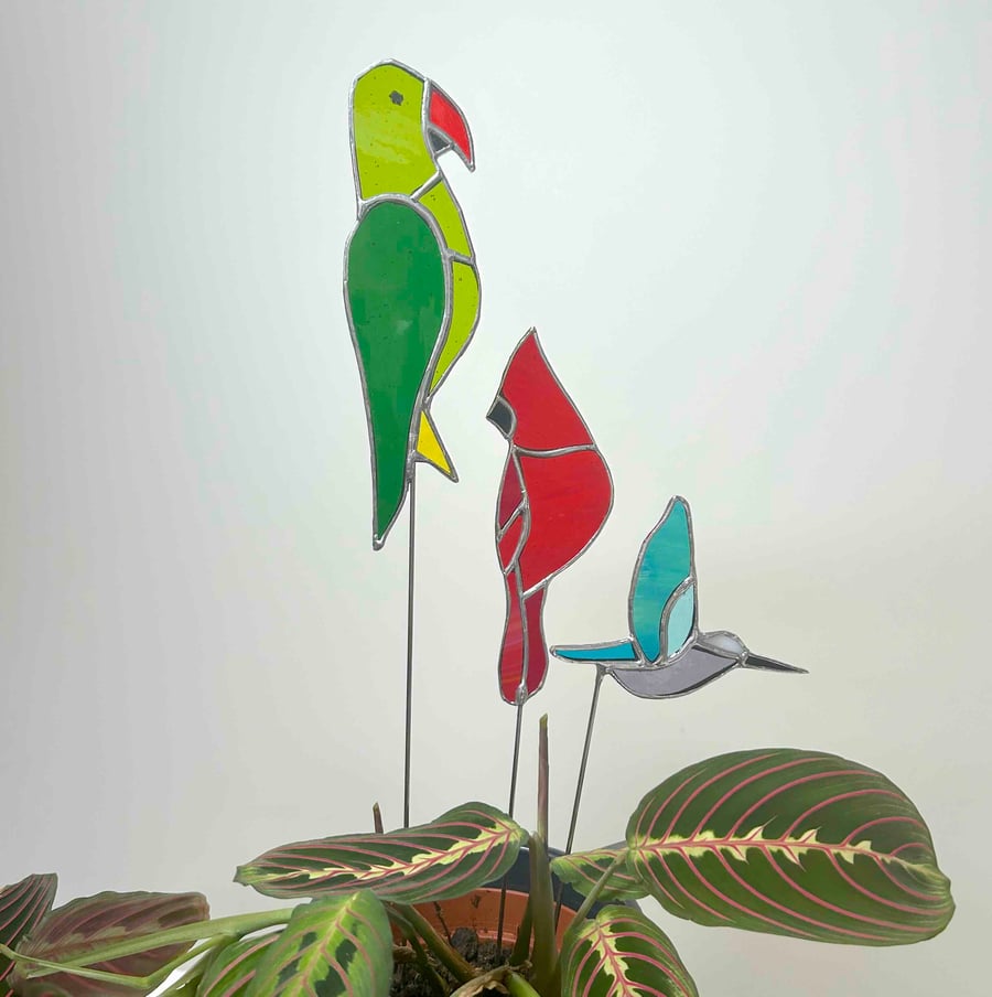 Tropical Birds in stained glass