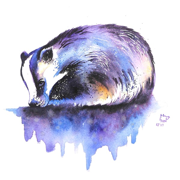A4 Sleepy Badger Print