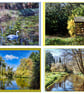 x4 Gooderstone Water Gardens Norfolk Greeting Cards A5
