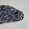Little Seal painted pebble
