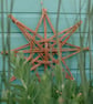 Handwoven Willow Star, Nordic Scandinavian Wall Decoration (40cm) - Image 3