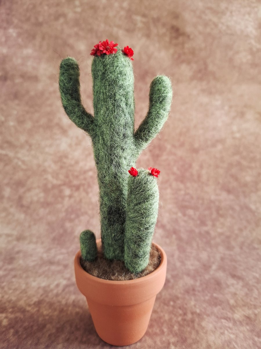 Needle Felted Flowering Cactus, Using Natural Wool Fibres. Real Terracotta Pot. 