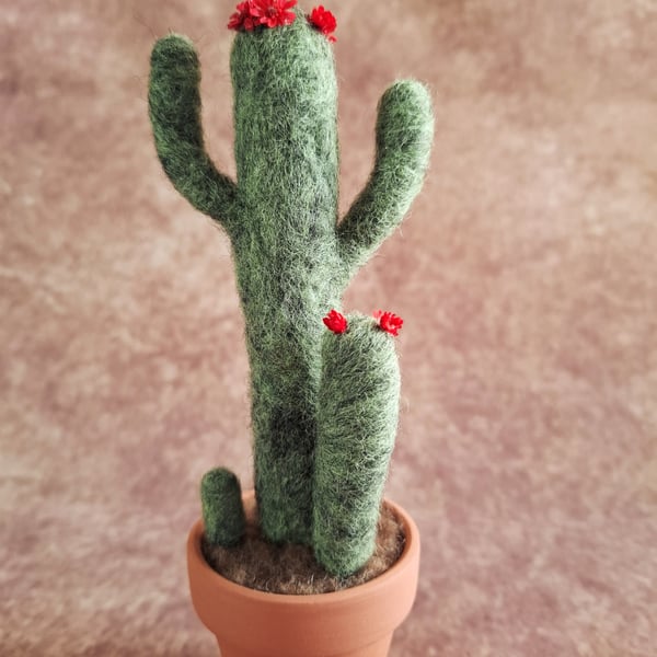 Needle Felted Flowering Cactus, Using Natural Wool Fibres. Real Terracotta Pot. 