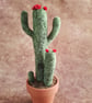 Needle Felted Flowering Cactus, Using Natural Wool Fibres. Real Terracotta Pot.  - Image 1