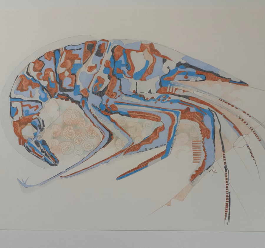 Fossil Shrimp - original drawing