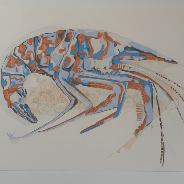 Fossil Shrimp - original drawing