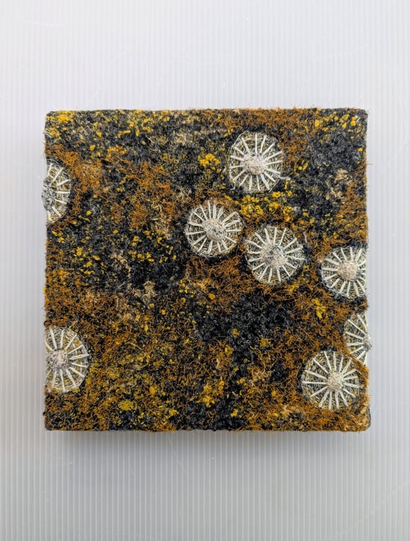 Coastal Dreams Textile Art: burnt orange - DEEP UNFRAMED