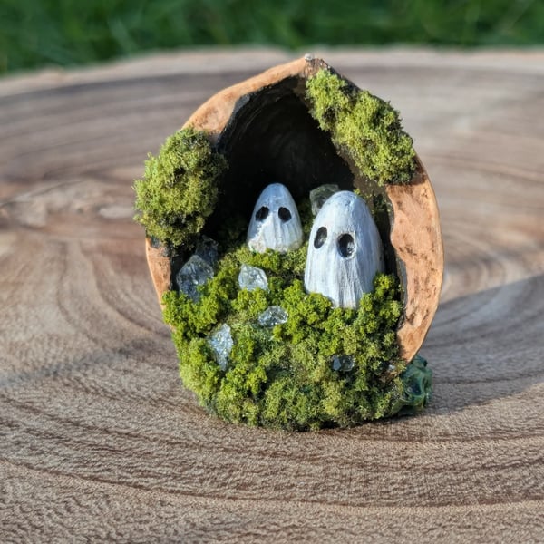 Haunted Walnut 1  