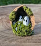 Walnut Ghost 1 