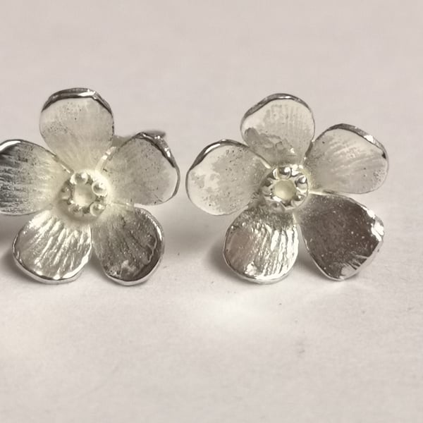 Forget me not earstuds in Silver