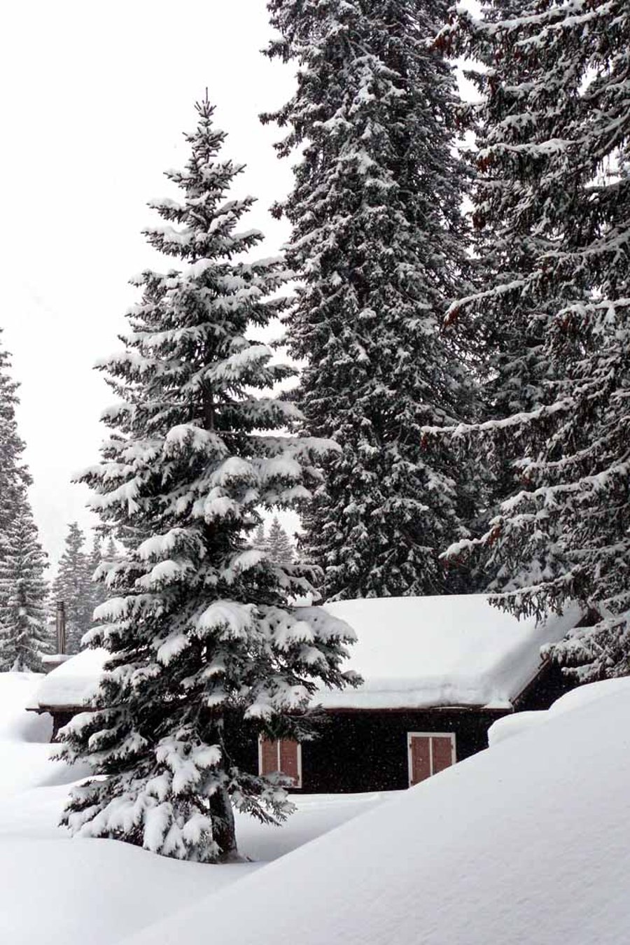 Oberlech am Arlberg Austrian Alps Austria Photograph Print