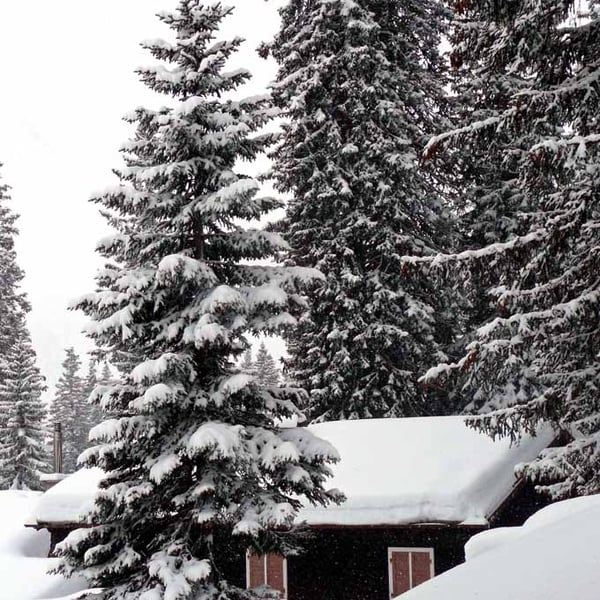 Oberlech am Arlberg Austrian Alps Austria Photograph Print