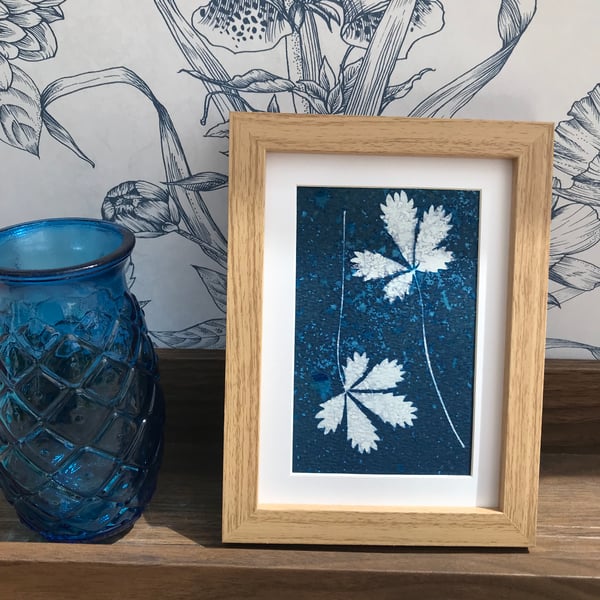 Framed Cyanotype Art finds Miss Willmott