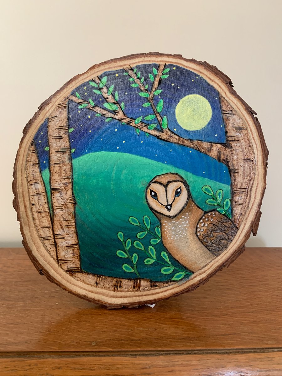 Pyrography “Starry Night” Barn owl hand painted 