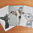 Whippet Dog Cards blank, pack of 3 designs