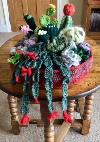 Crocheted cactus and succulent plant home decoration