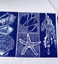 Beach finds linocut card (Perfectly Imperfect)