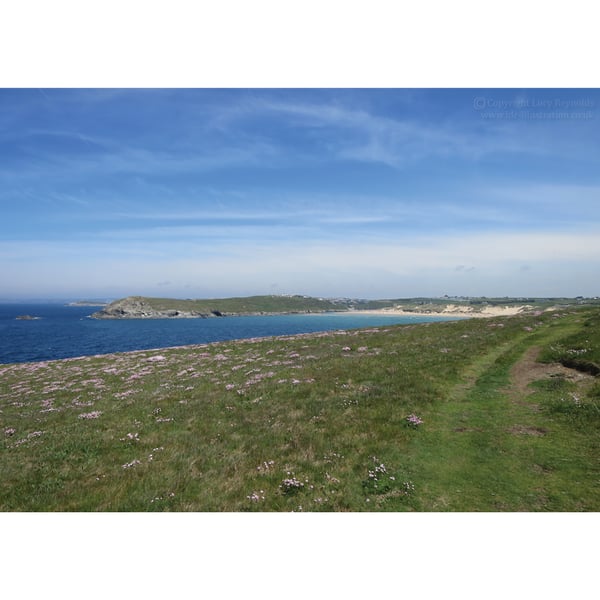 Crantock Bay Sea Pink Print