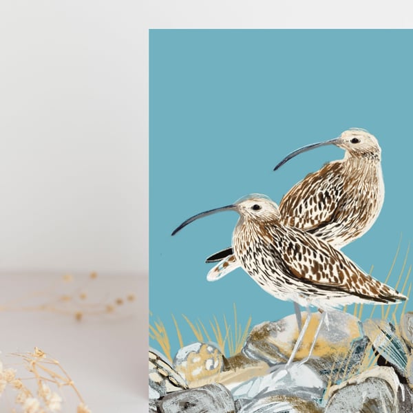 Curlew blank card british bird 
