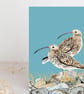 Curlew blank card british bird 